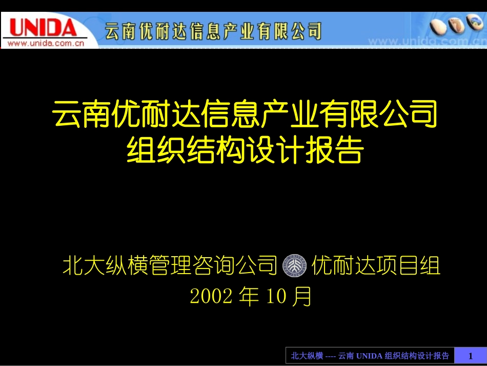 1016 优耐达组织结构设计报告 YHD FINAL.ppt_第1页