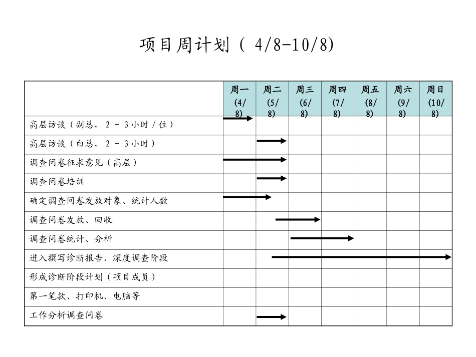 项目计划0804.ppt_第1页