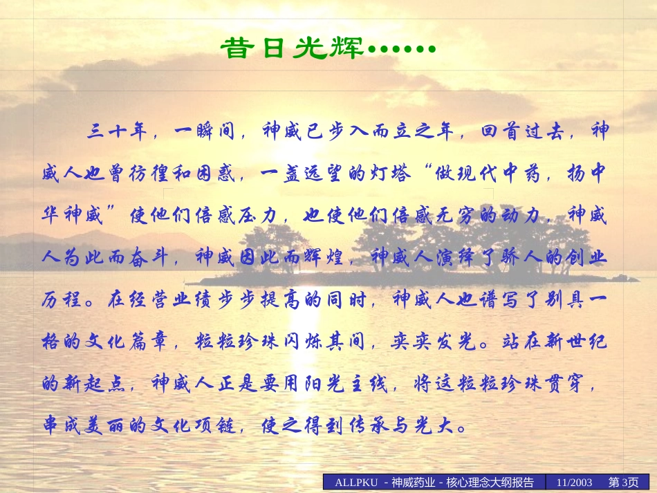 1104神威核心理念大纲wwp4.ppt_第3页