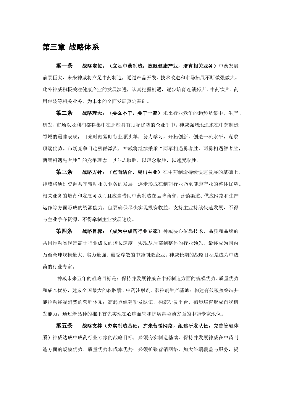 1104神威核心理念战略与运营体系wwp.doc_第1页