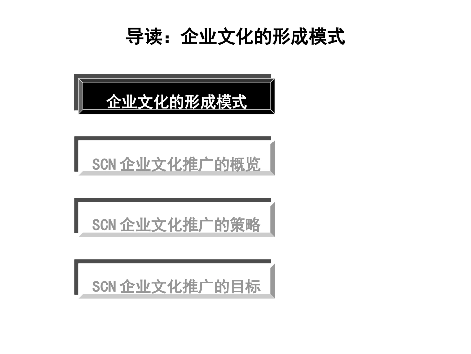 05报告五：企业文化推广方案—xf-0408.ppt_第2页