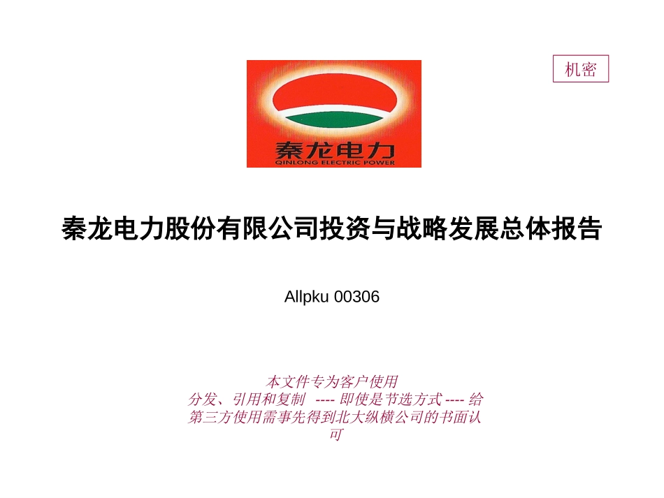 秦龙电力股份有限公司投资与战略发展总体报告.ppt_第1页