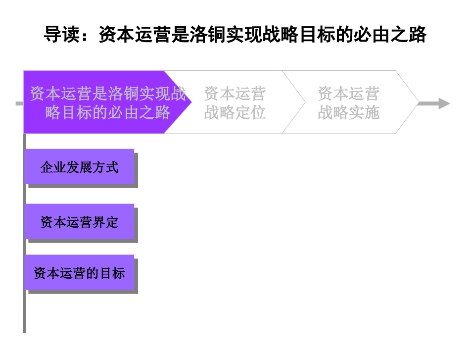 洛铜集团资本运营战略报告.ppt_第2页