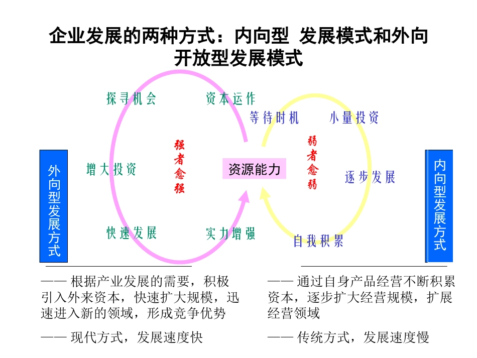 洛铜集团资本运营战略报告.ppt_第3页