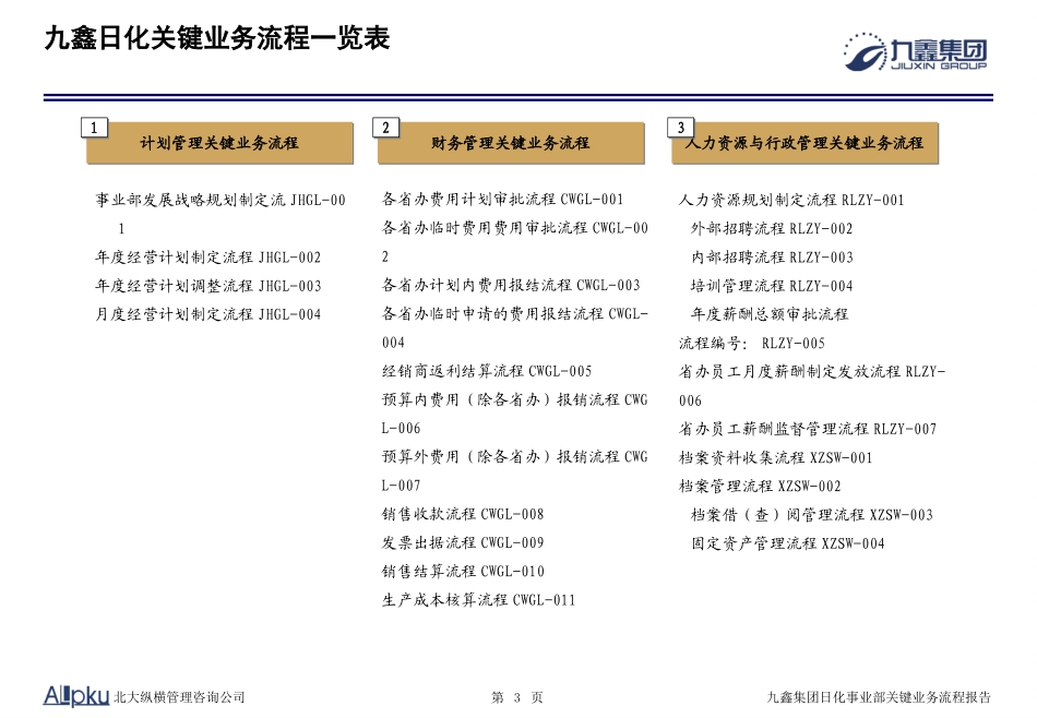 050106-九鑫日化关键业务流程-Allpku(最终确认稿).ppt_第3页