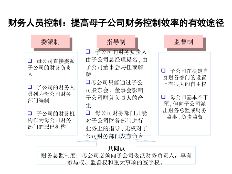 母子公司财务内控.ppt_第2页