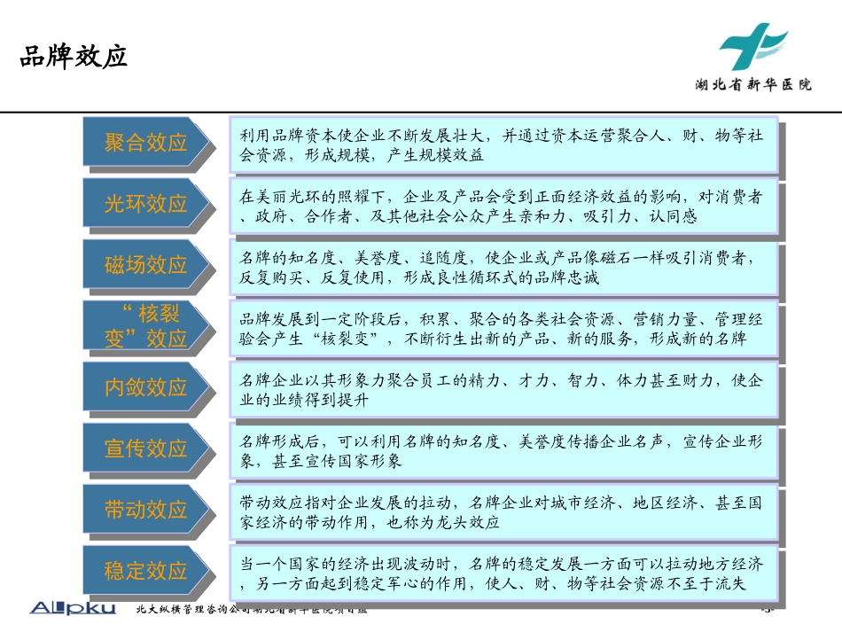 品牌营销报告.ppt_第3页