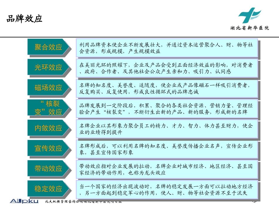 品牌营销报告v2.0.ppt_第3页