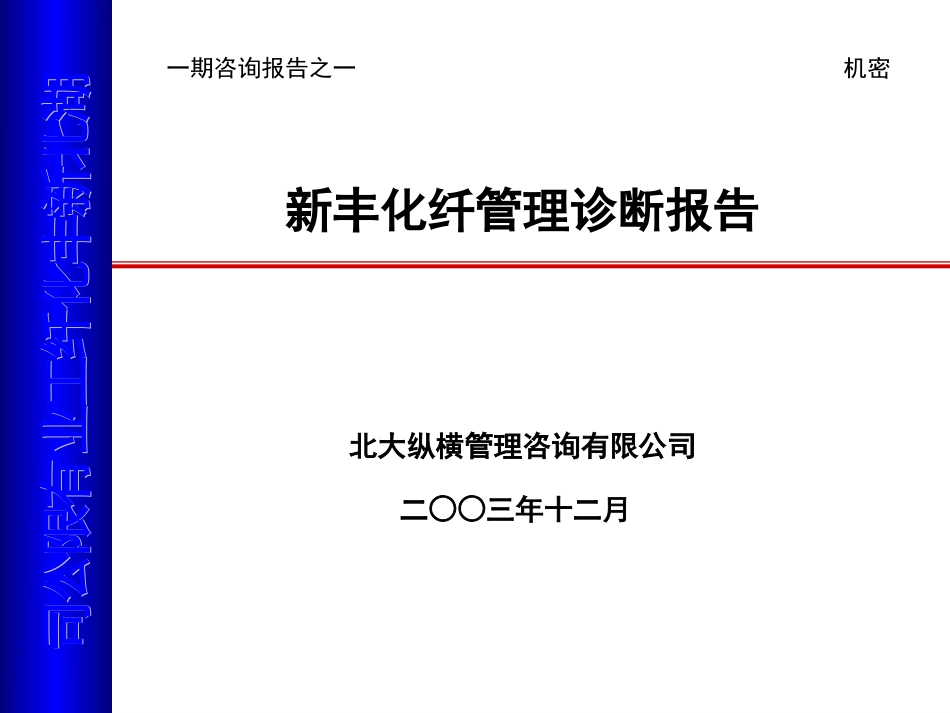 新丰化纤管理诊断报告1215.ppt_第1页