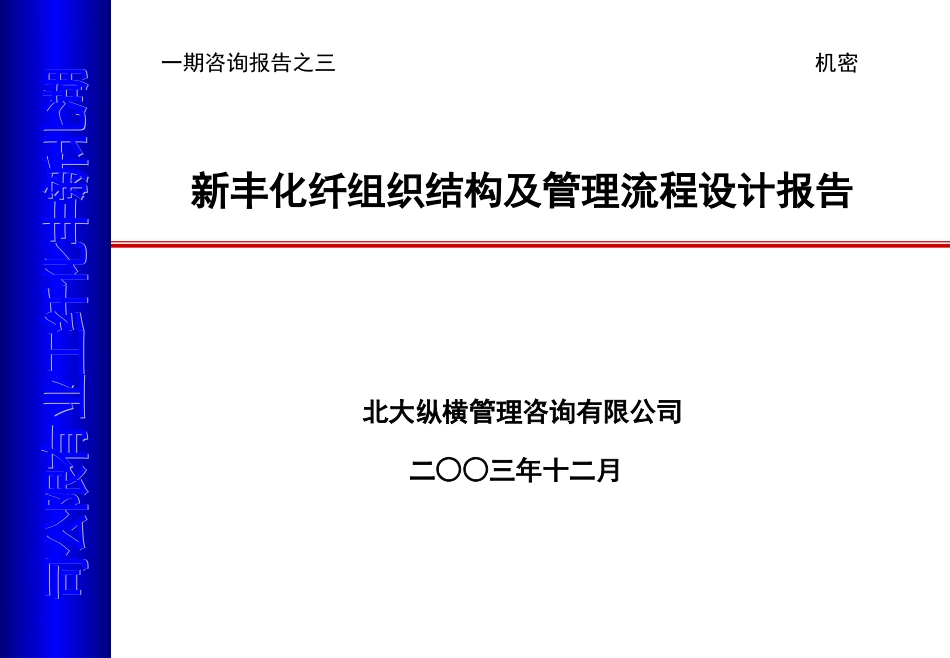 新丰化纤组织结构及管理流程设计报告1215.ppt_第1页