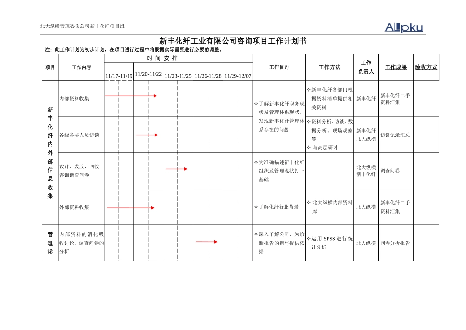 新丰化纤咨询项目工作计划.doc_第1页