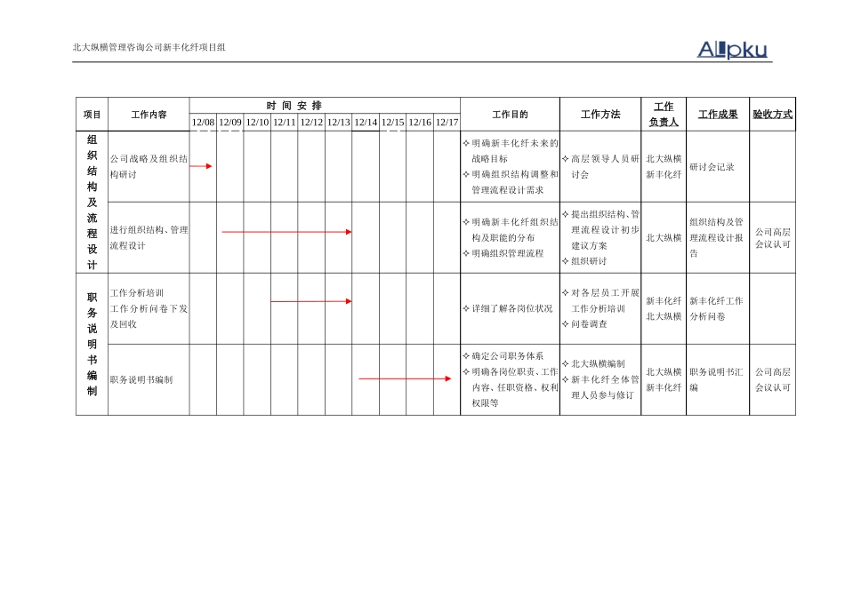 新丰化纤咨询项目工作计划.doc_第3页