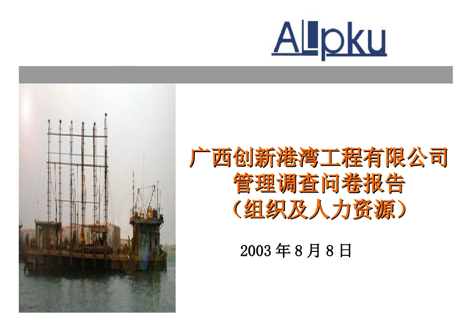 组织及人力资源问.ppt_第1页
