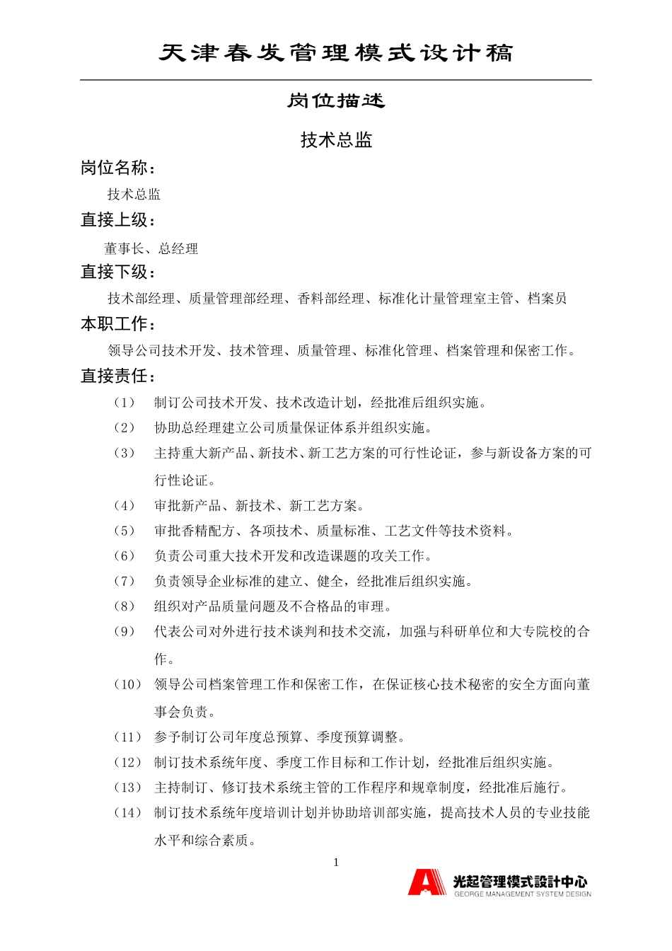 技术总监.DOC_第1页