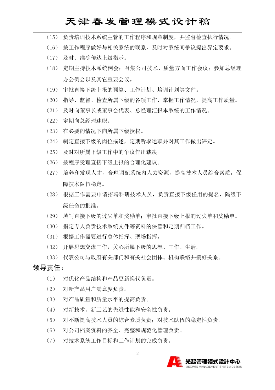技术总监.DOC_第2页
