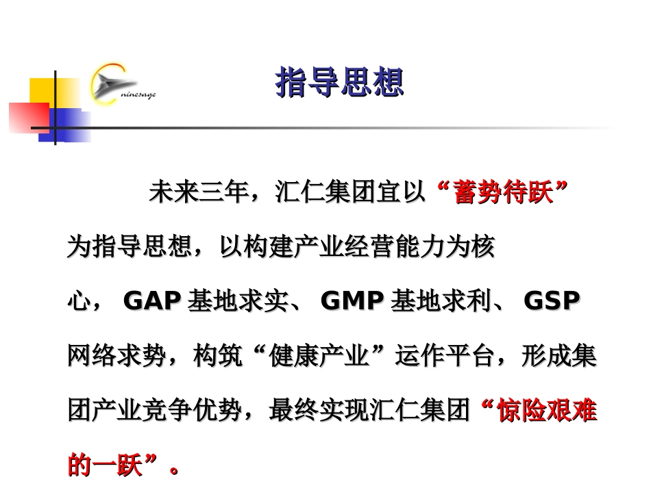 汇仁集团战略澄清报告(早期版本）.PPT_第2页