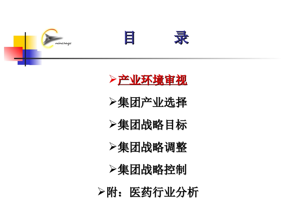 汇仁集团战略澄清报告(早期版本）.PPT_第3页