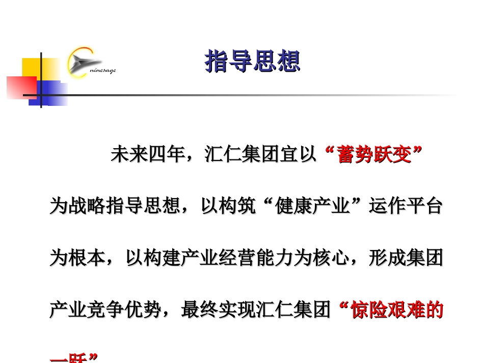 汇仁集团战略澄清报告-3.PPT_第2页