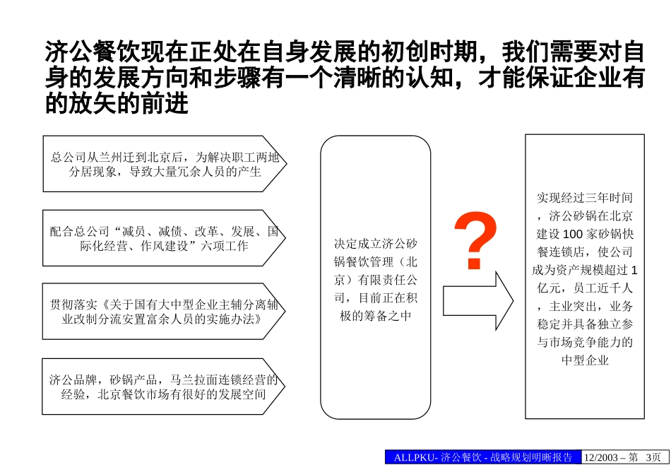 蓝星济公战略规划明晰报告.ppt_第3页