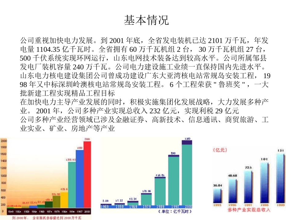 山东电力集团&深圳投资.ppt_第3页