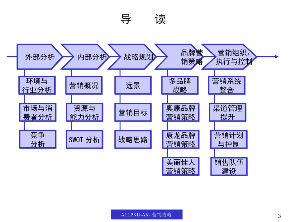 营销报告（奥康）.ppt_第3页