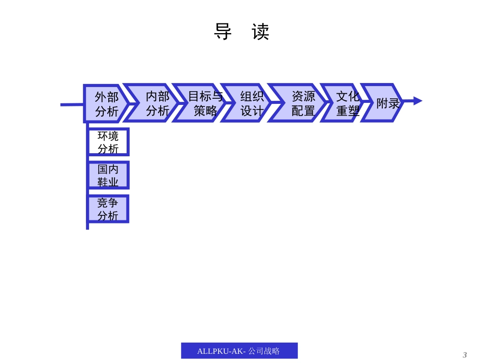 战略报告（奥康）.ppt_第3页