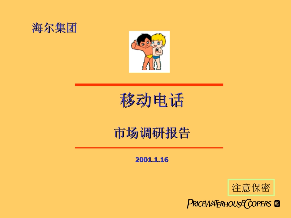 Haier mobile phone report.pdf_第1页