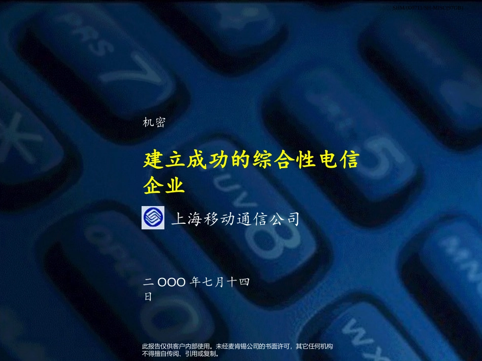 麦肯锡《上海移动通信：建立成功的综合性电信企业》47页.ppt_第1页