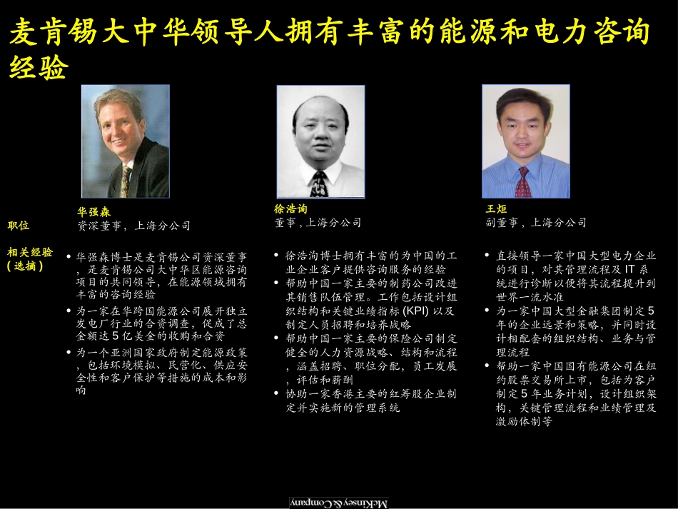 麦肯锡项目组成员介绍.ppt_第1页