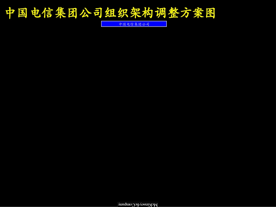 CT ORG TO LIZHIGANG.ppt_第2页