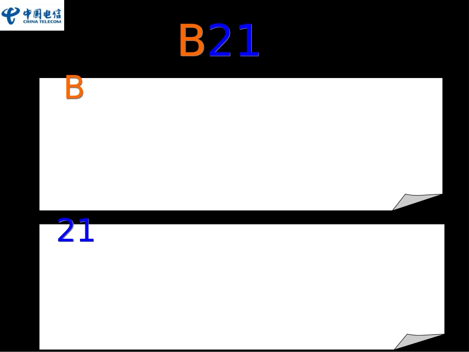 B21汇报材料2.ppt_第3页