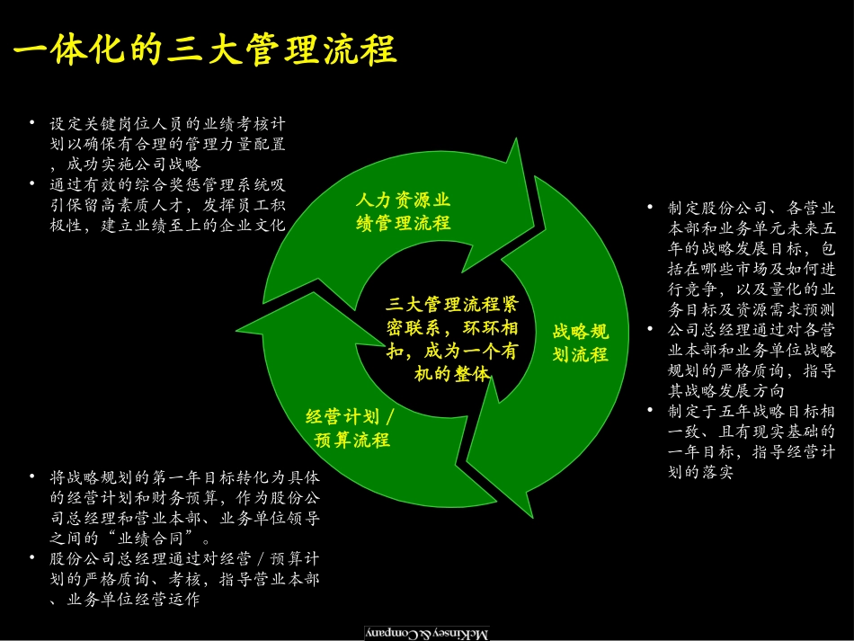 Mckinsey：上海广电Appendix3_管理流程手册.ppt_第3页