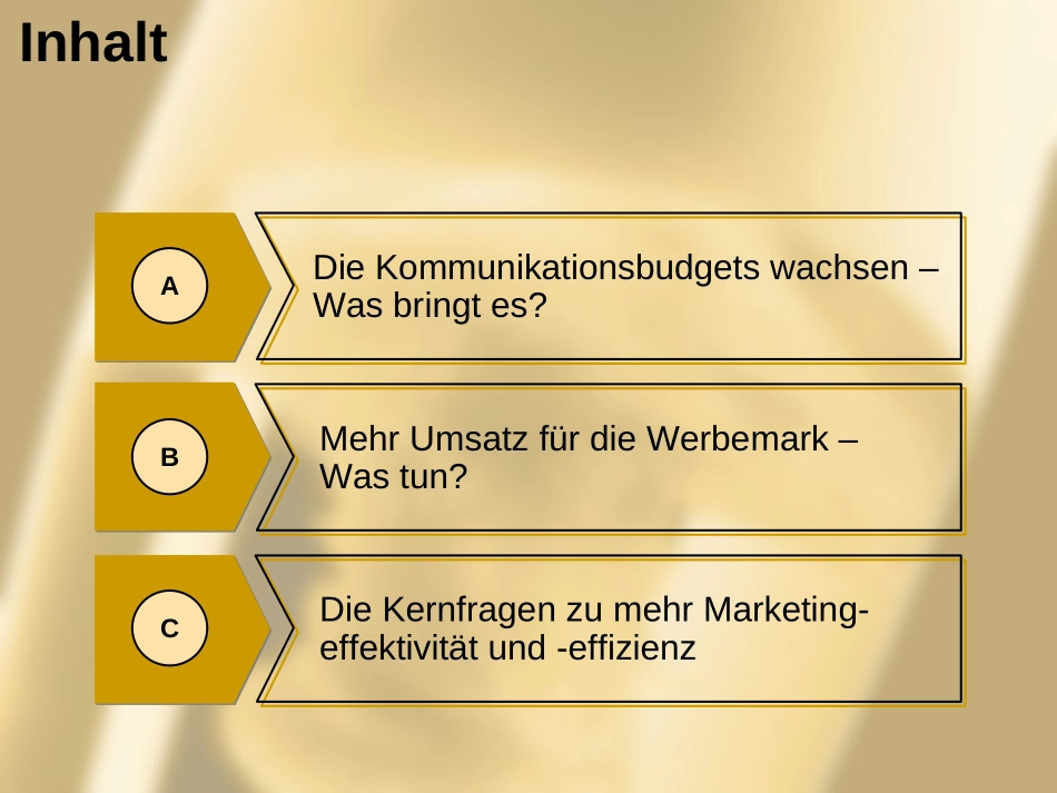 HeinerOlbrich.ppt_第2页