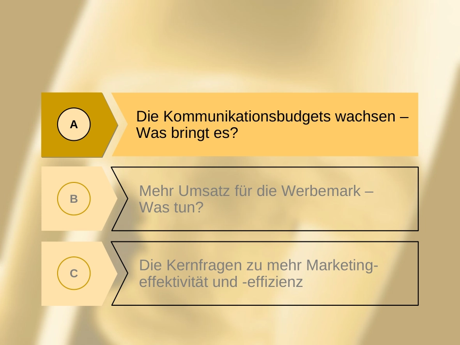 HeinerOlbrich.ppt_第3页