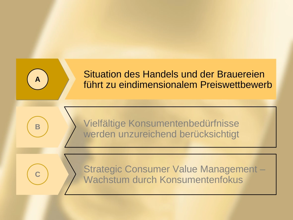 Hr_Bauer.ppt_第3页