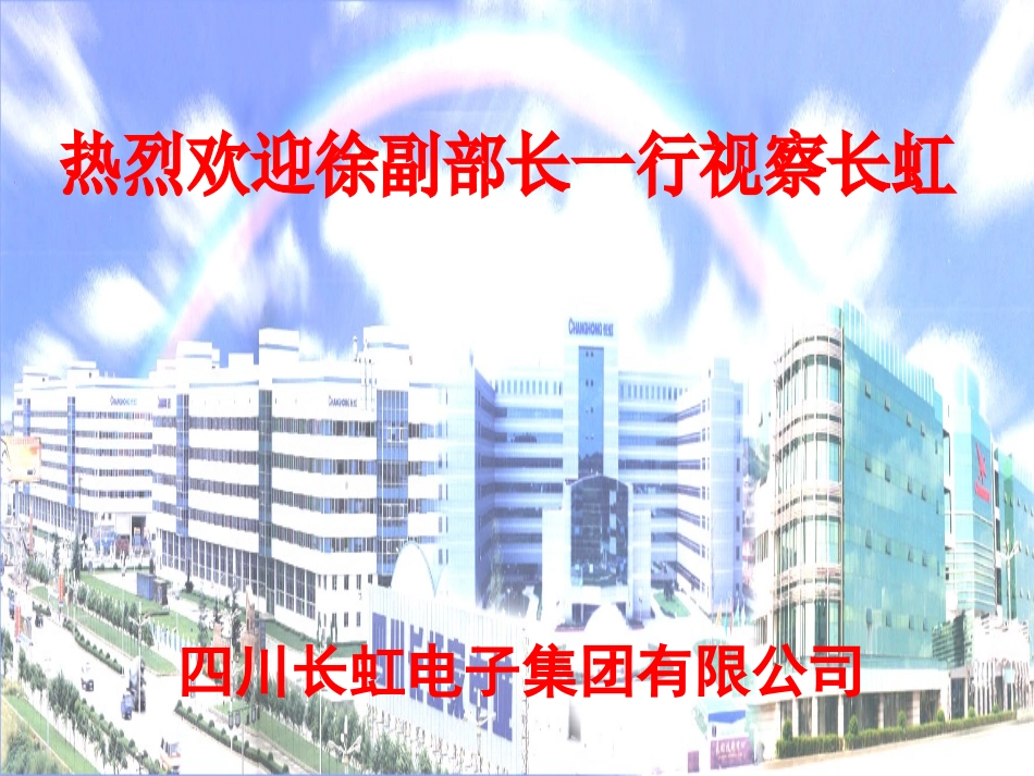 向吴部长的汇报演示稿.ppt_第1页