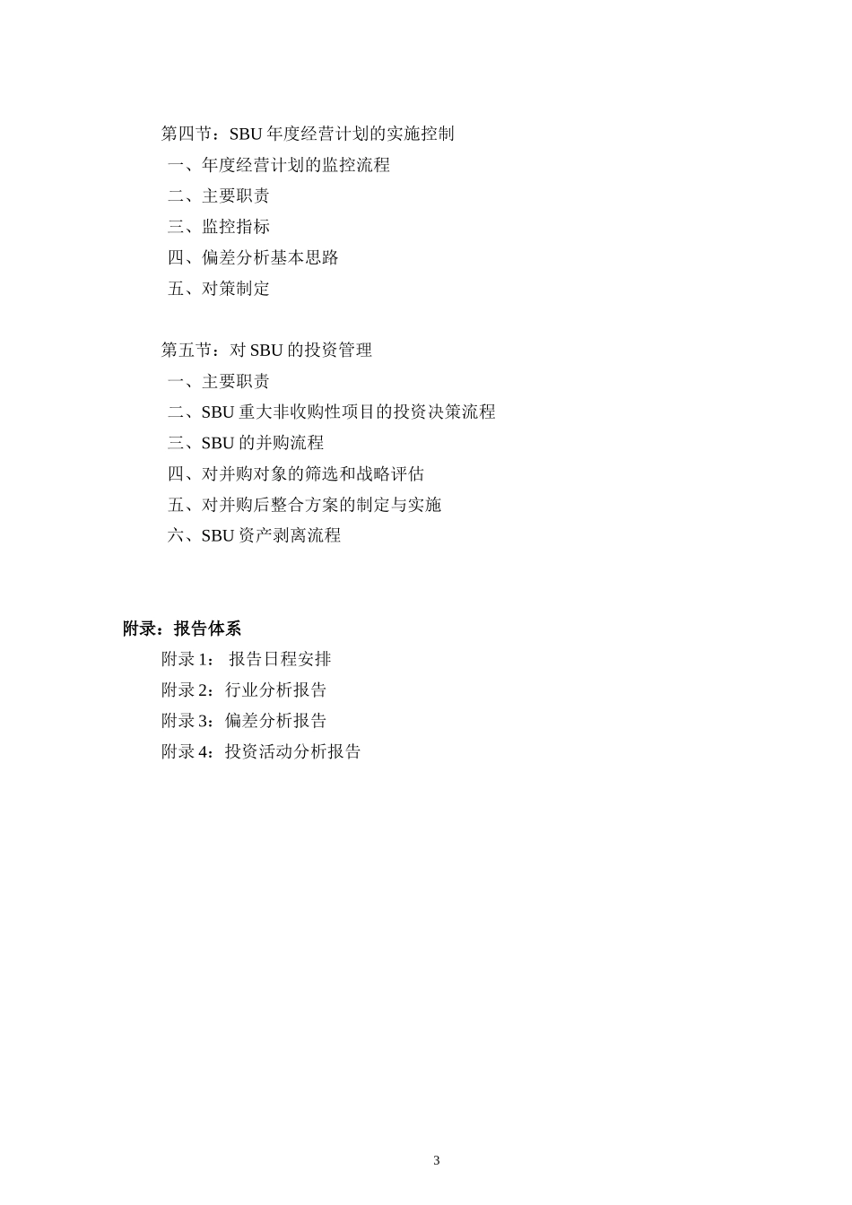 stategydep revised1.doc_第3页