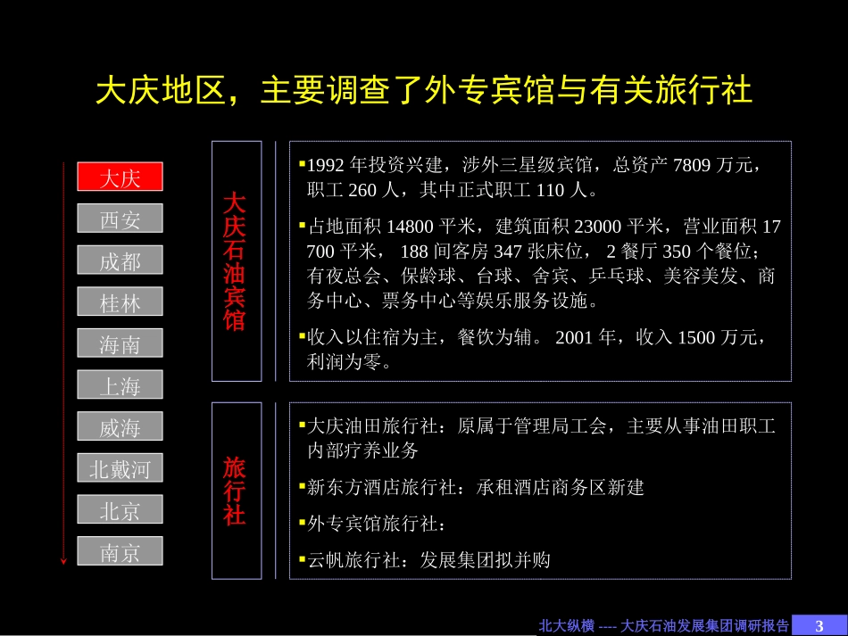 大庆石油发展集团办事处调研分析（2）.ppt_第3页