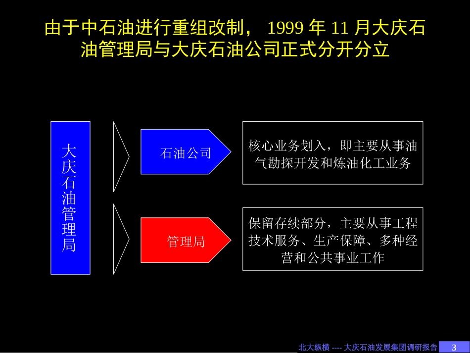 大庆石油发展集团调研报告（1）.ppt_第3页