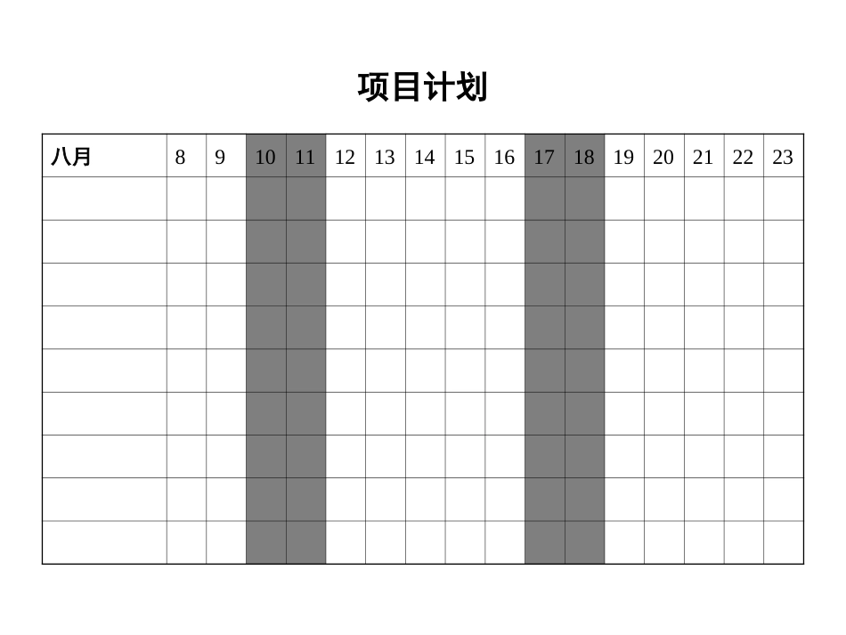项目计划0807.ppt_第1页