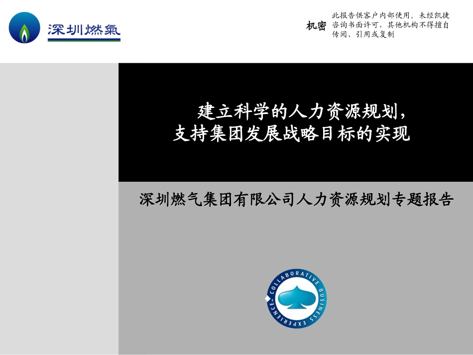 人力资源规划专题报告递交汇报版.ppt_第1页