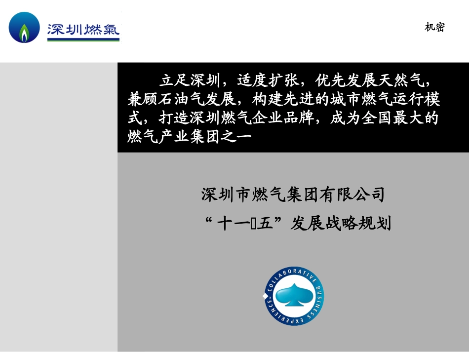 深圳燃气十一五规划-简要版v0.6.ppt_第1页