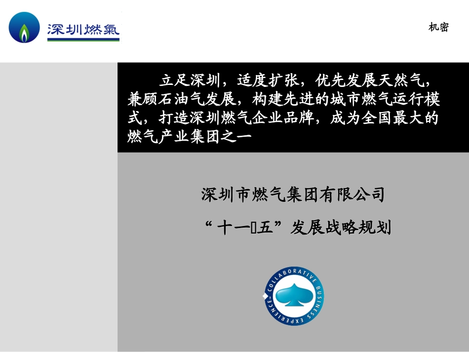 深圳燃气十一五规划-精装版v0.4.ppt_第1页