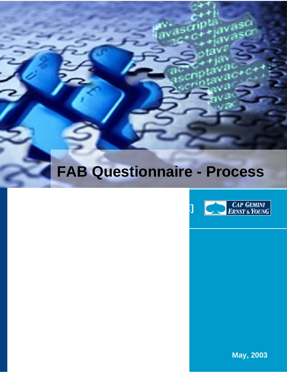 FAB Process Questionnaire.FNL.doc_第1页