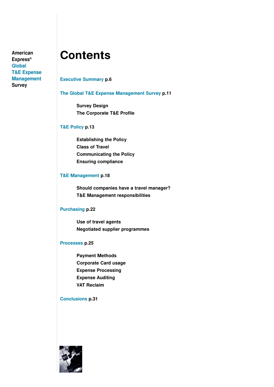 amex Survey.pdf_第3页