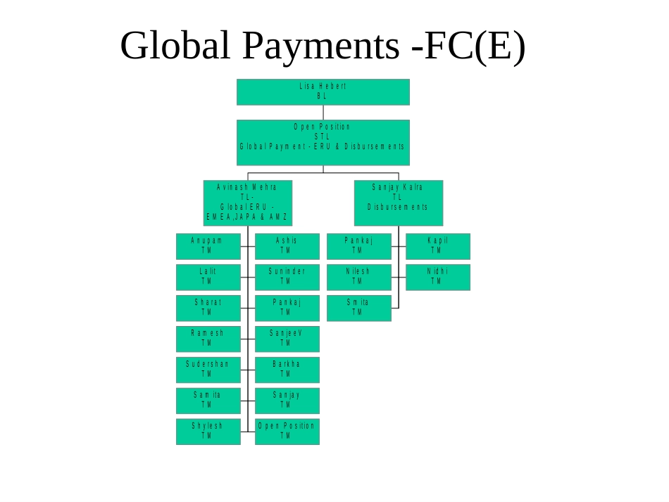 TEV - FCE Org chart.ppt_第1页