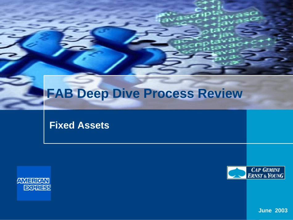 DEEP DIVE - Fixed Assets.FNL.Jul-14-2003.ppt_第1页