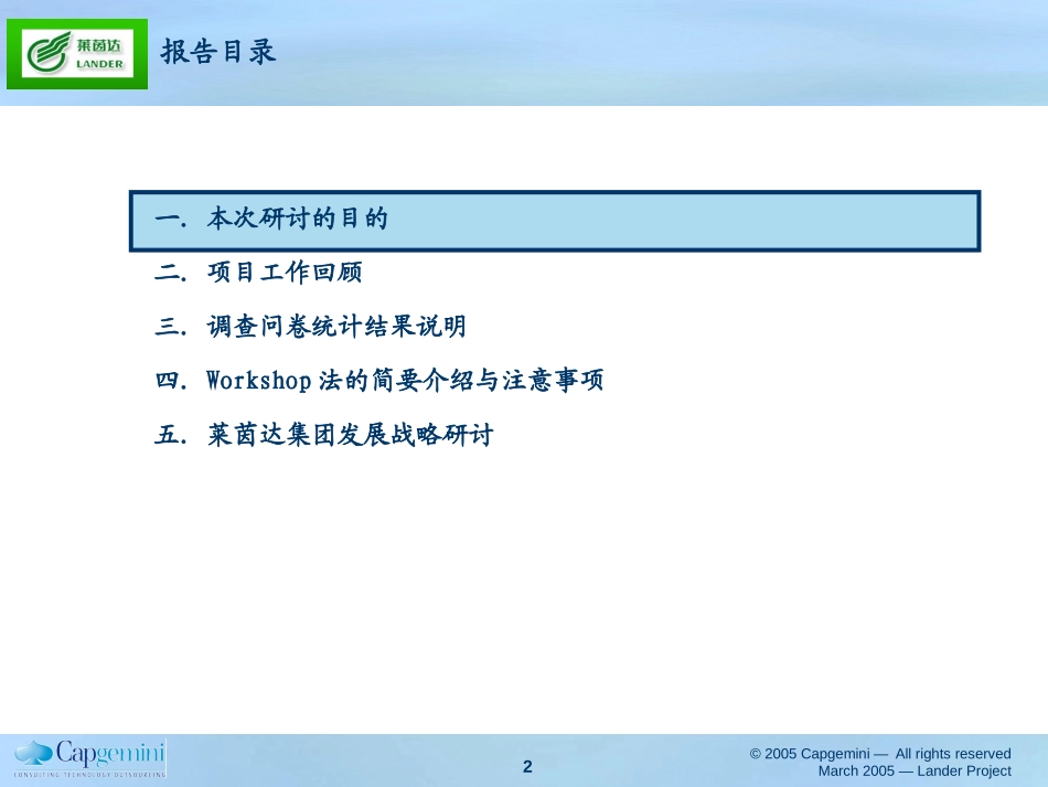 莱茵达集团战略研讨会资料3.1.ppt_第2页