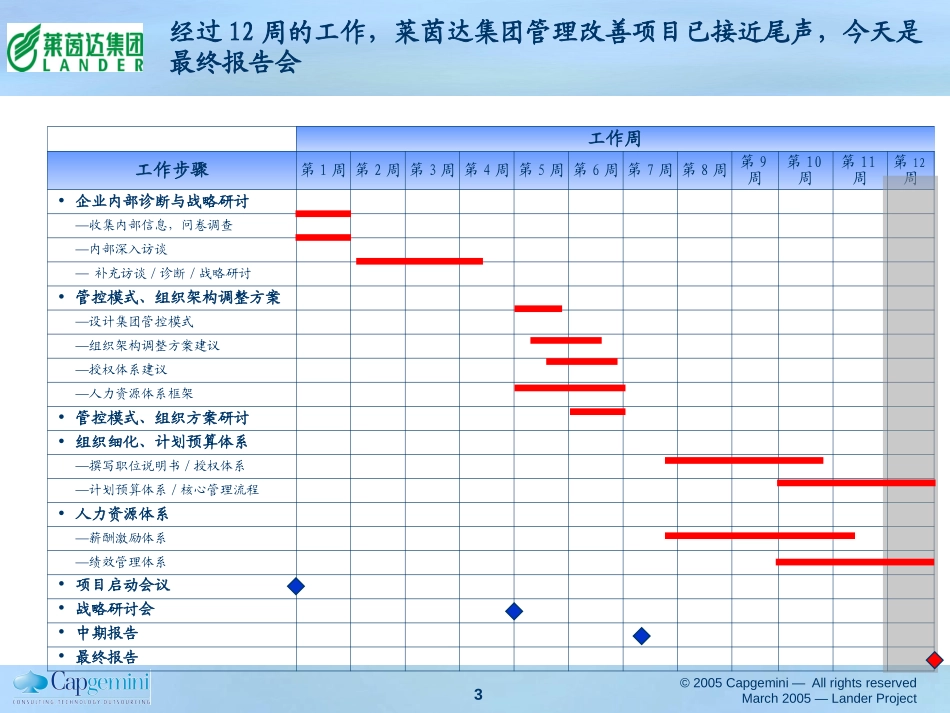 莱茵达项目最终报告提交版.ppt_第3页