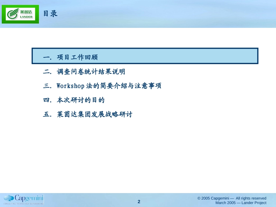莱茵达集团战略研讨会资料2.0.ppt_第2页